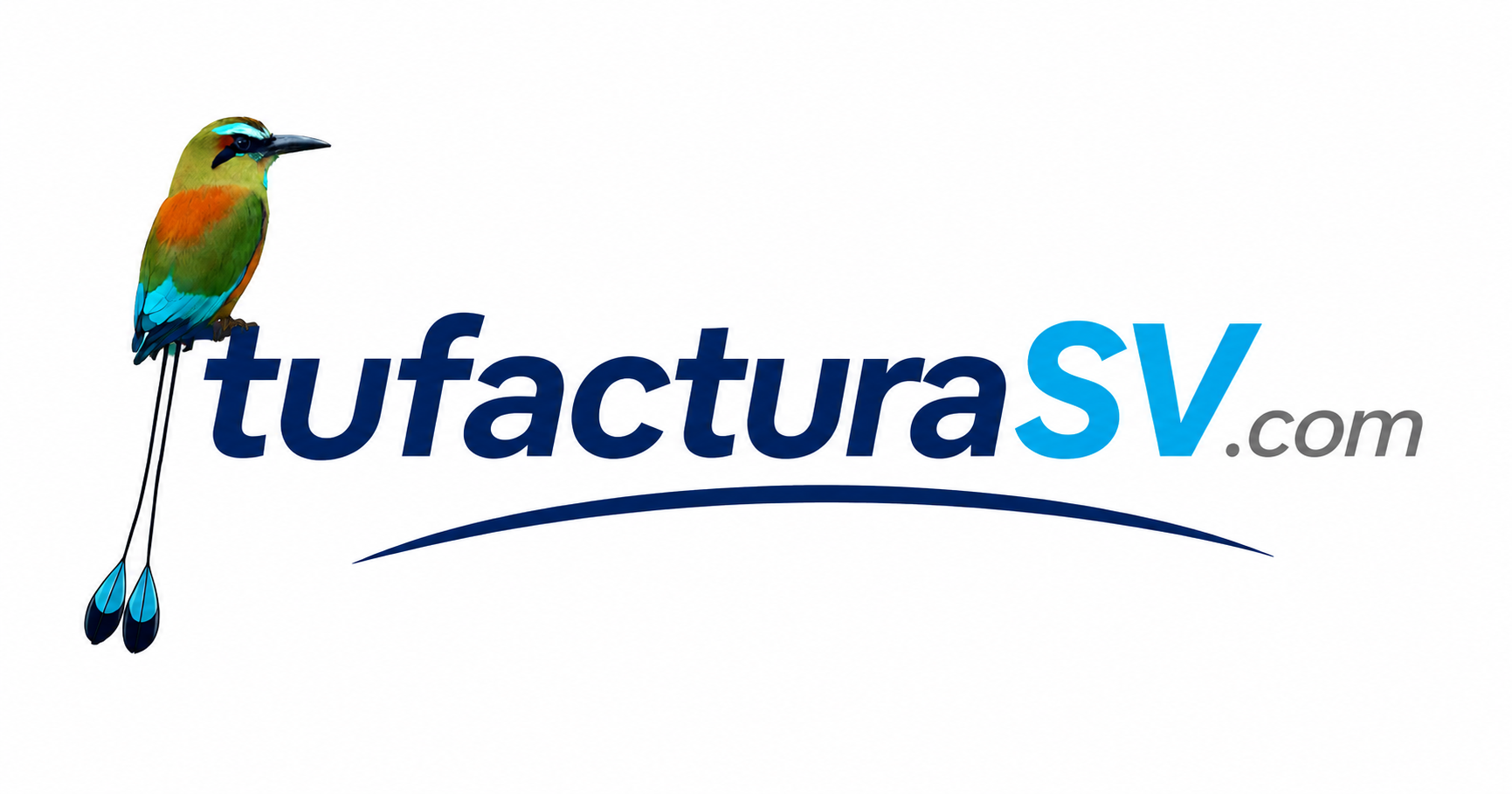 TuFactura<strong>SV</strong>